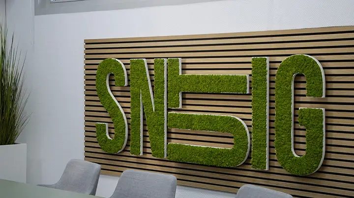 Grünes Moos-Logo der Design und IT Agentur aus Herford snutig in der Pitch Area – modernes, nachhaltiges Raumdesign für kreative Kundentermine.